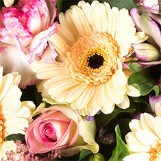 FLORISTS CHOICE SHEAF