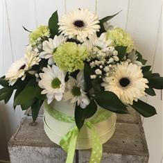 KEY LIME HATBOX