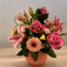 POT OF PINKS