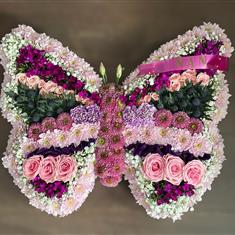 PINK BUTTERFLY 