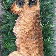 2D MEERKAT