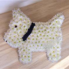 WESTIE DOG