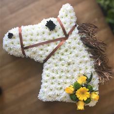 HORSES HEAD WHITE