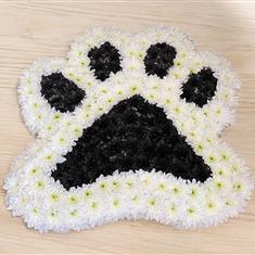 DOG PAW PRINT