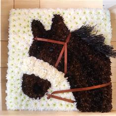 HORSE TRIBUTE