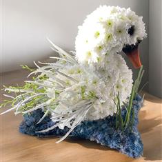 3D SWAN