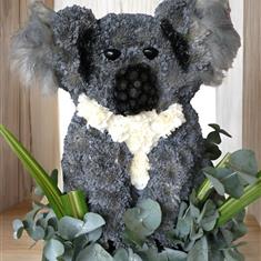 3D KOALA