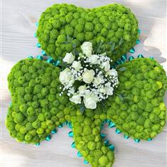 GREEN SHAMROCK